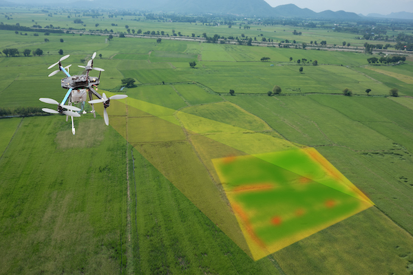 Drone Programming